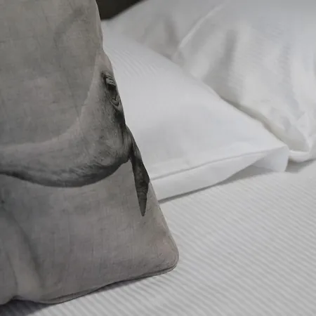 Soulmade Apartamento *