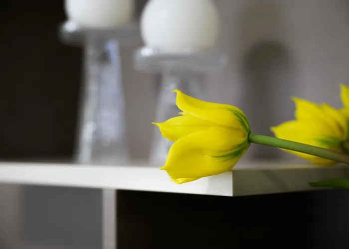 Appartamento Soulmade Cosenza